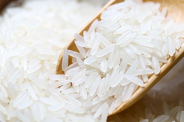 Cambodia Fragrant Rice