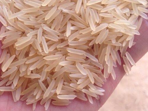 India golden sella rice (basmati)
