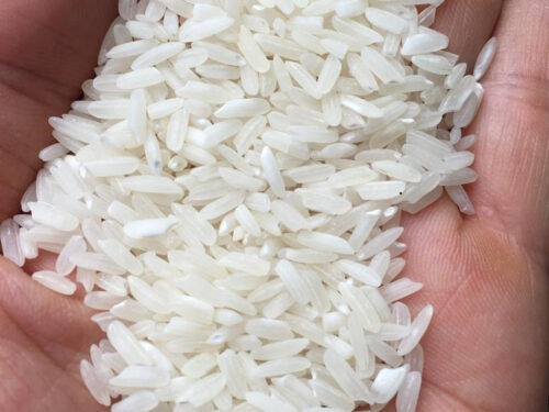 Myanmar Long Grain White Rice