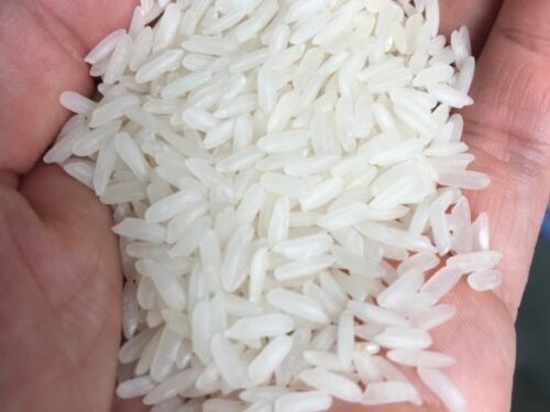 Thai Pathumthani Fragrant Rice