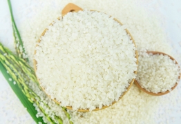 Vietnam Japonica rice