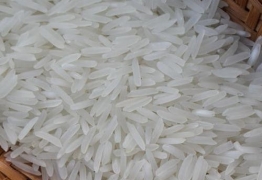 Vietnam Long grain white rice 4900