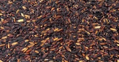 Thai Black Glutinous Rice