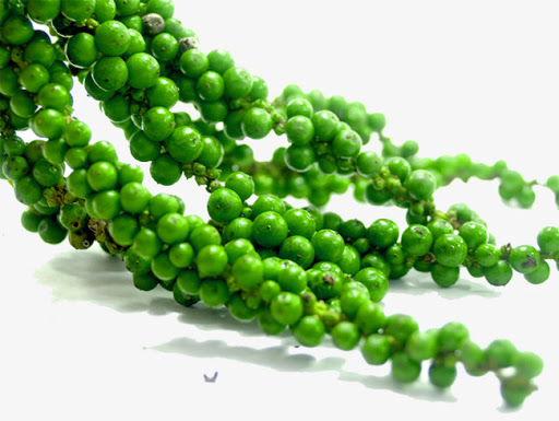 Pepper green